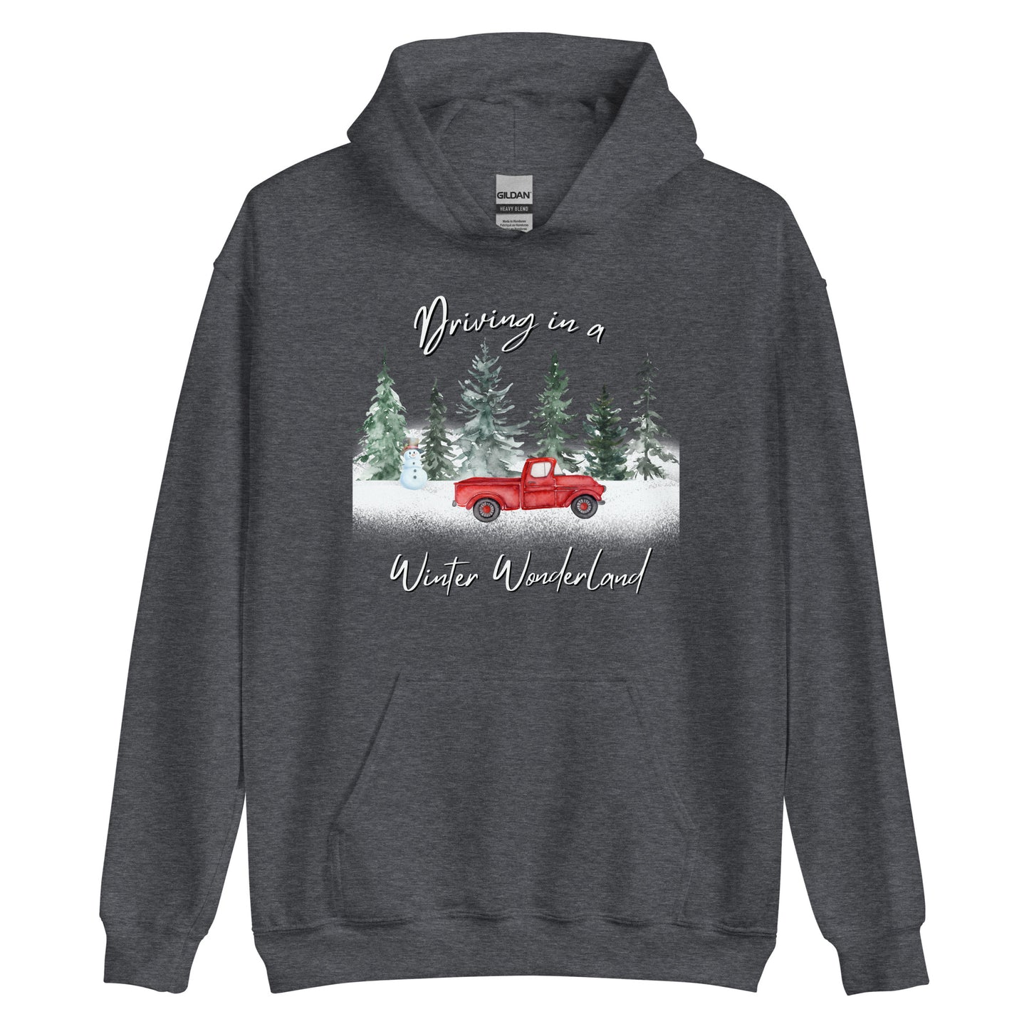 Driving In A Winter Wonderland CTGS Santa Unisex Hoodie
