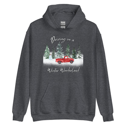 Driving In A Winter Wonderland CTGS Santa Unisex Hoodie