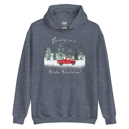 Driving In A Winter Wonderland CTGS Santa Unisex Hoodie