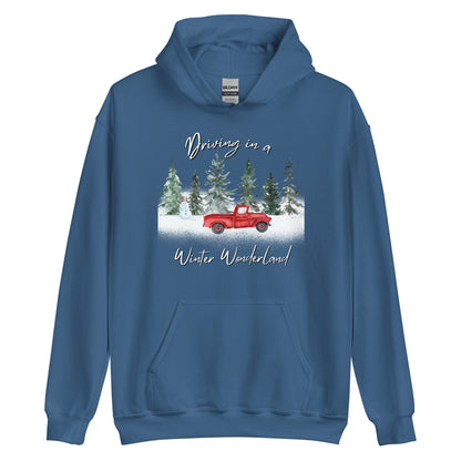 Driving In A Winter Wonderland CTGS Santa Unisex Hoodie