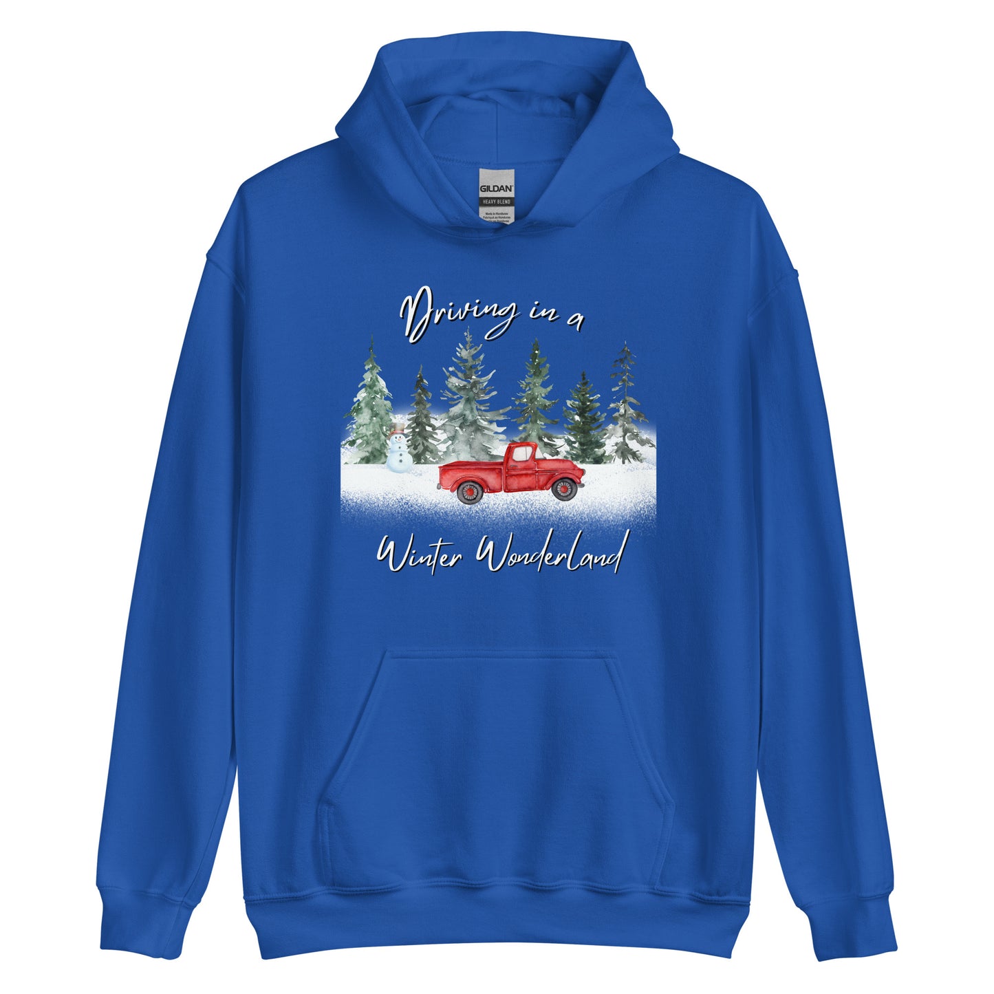 Driving In A Winter Wonderland CTGS Santa Unisex Hoodie